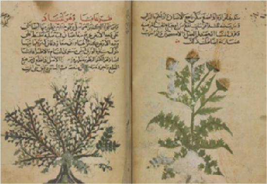 فهرسة المخطوطات العربية وفقاً لقواعد وام RDA ومعيار مارك 21 وممارسات الفهرس
